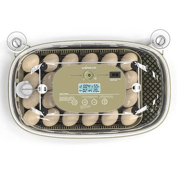 DLM-24 Home Egg Incubator - 24 Chicken Egg (pet use) 1
