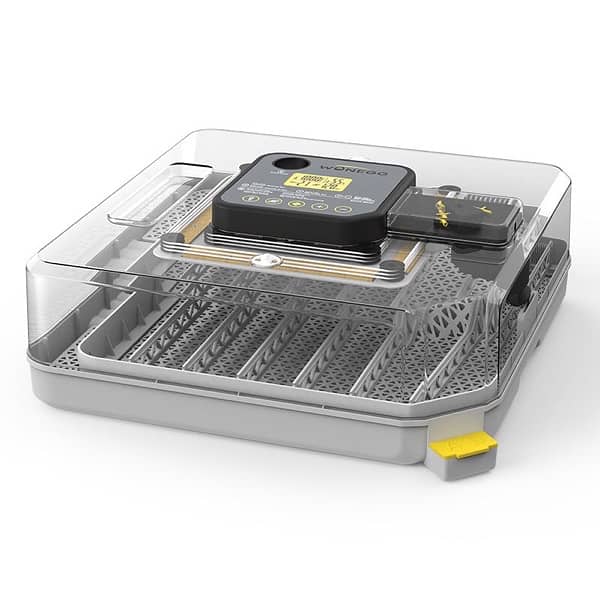 YZ-48H Home Egg Incubator - 48 Chicken Eggs (Pet Use) 1