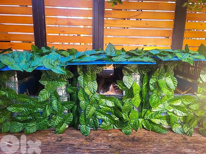 Outdoor Cat House Waterproof amazing idea !! 9
