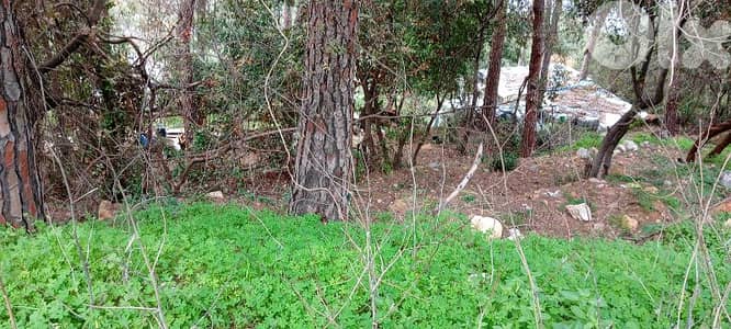 Beit El kekko land 1400 meters 450 dollars for square meter 03703564