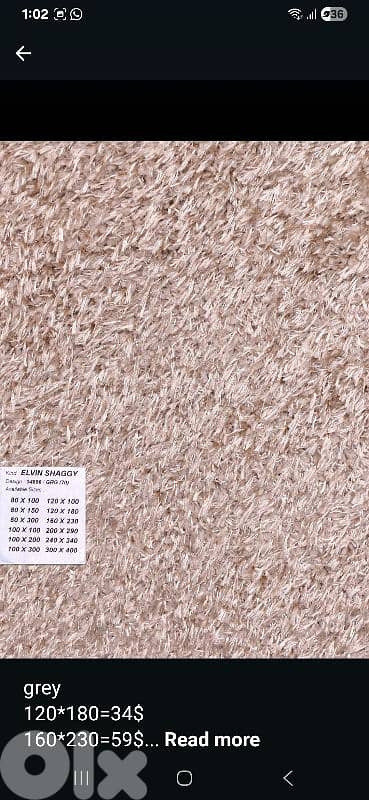 beige shaggy carpet 2