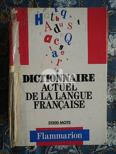 Dictionnaire actuel de la langue française