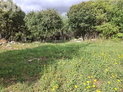 1000m2 Prime flat Land in Cornet chehwan