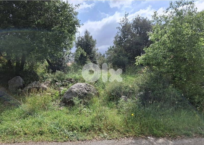1000m2 Prime flat Land in Cornet chehwan 1