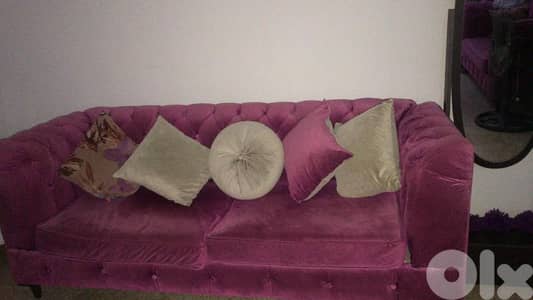 صالون + سجادة