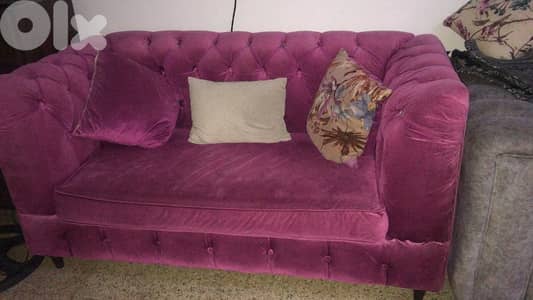 صالون + سجادة