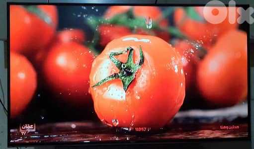 شاشة 43 اينش Haier  الحاله جيدة LED