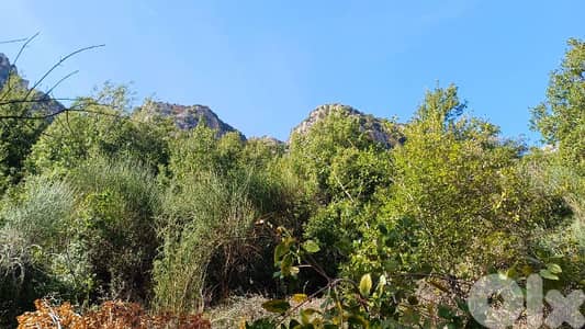 lands for sale in Tannourine_tahta أرض للبيع في تنورين_التحتا