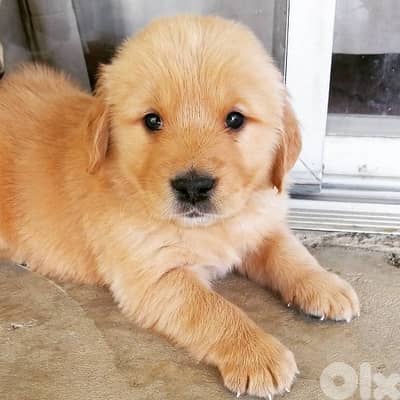 أحلى الأسعار