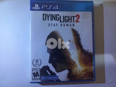 Dying light 2