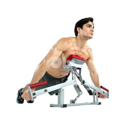 emson full body & push up workout