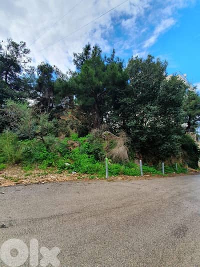 Land for sale in Awkar