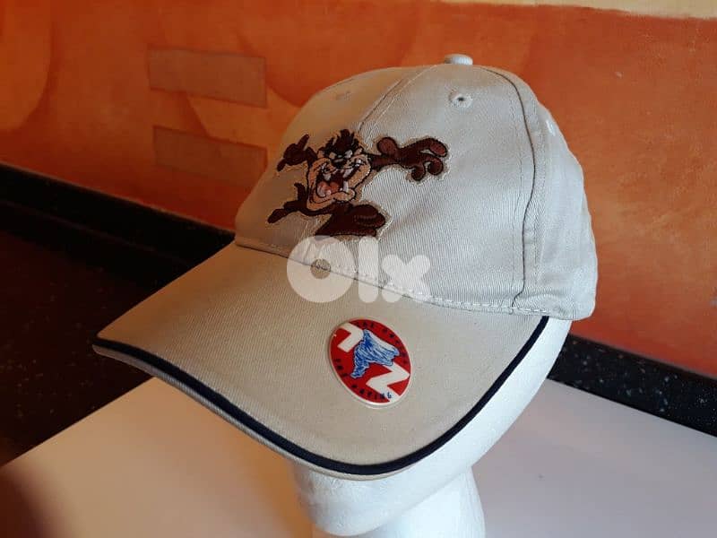 Junior's Caps n Hats Big Collection 17