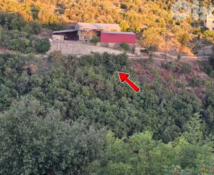 Ghedres Land for Sale | Unblockable View 6