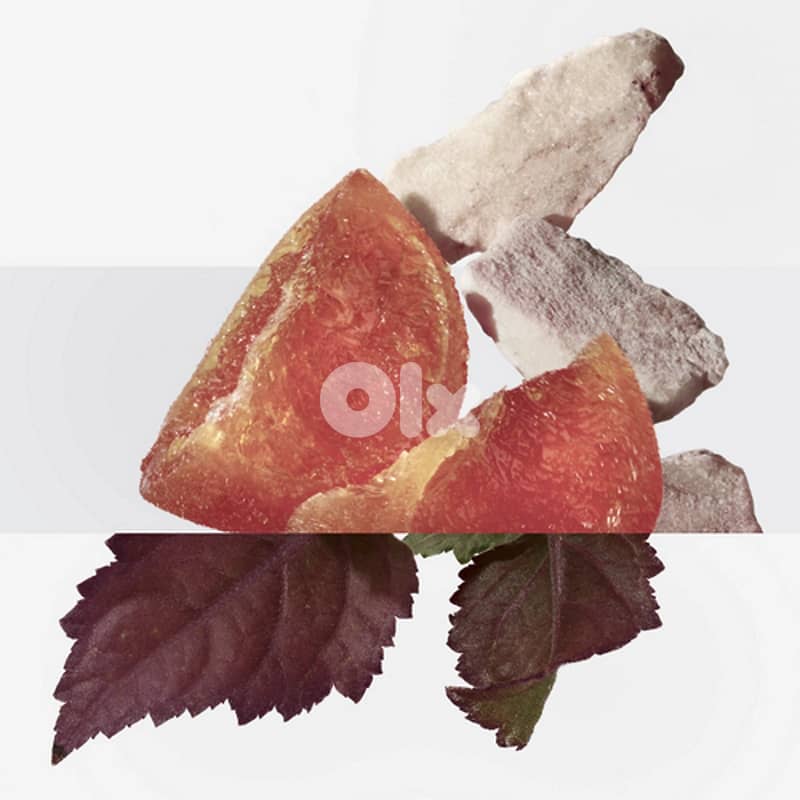 Hermès Elixir des Merveilles Eau de Parfum 100mL 1