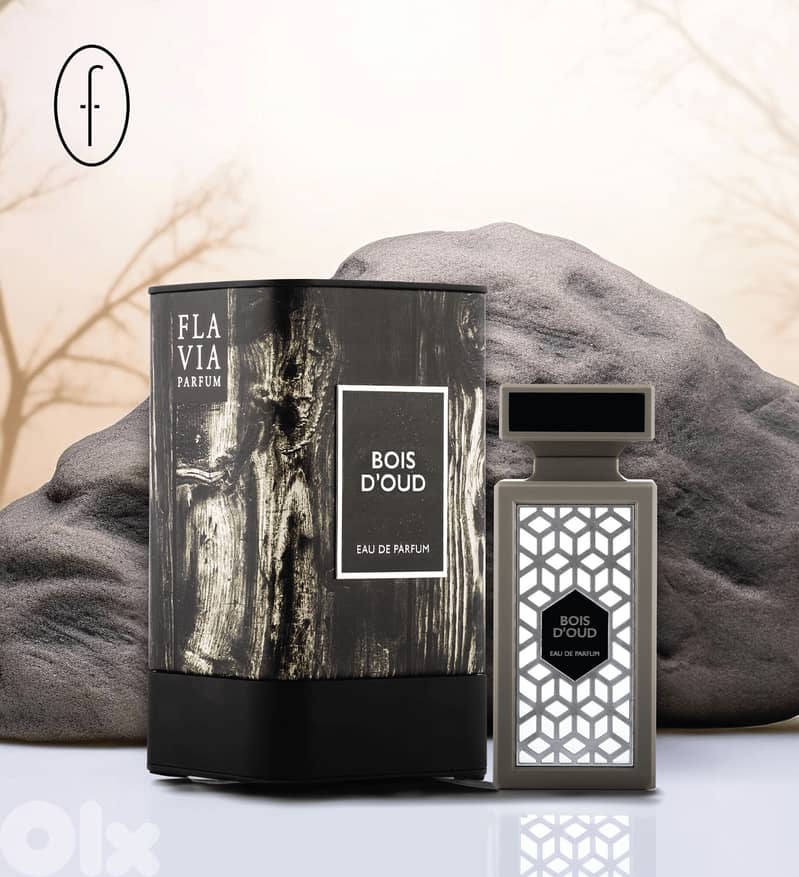 Flavia Bois D’Oud Eau De Parfum 90 ML (Men) 1