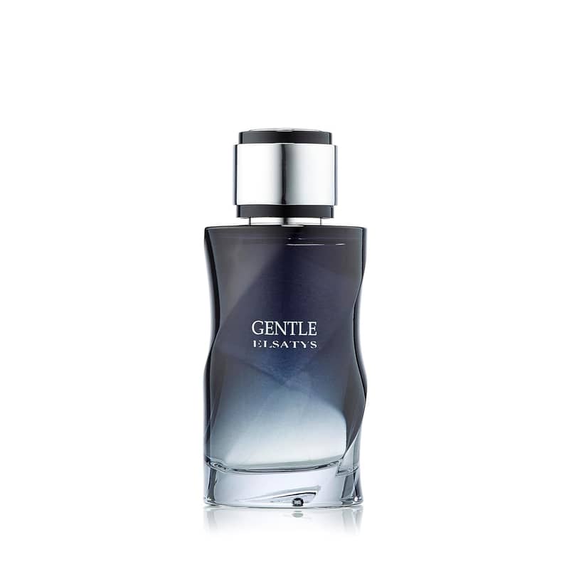 Reyane Tradition Gentle Elsatys Eau de Parfum 100 ml (Men) 1