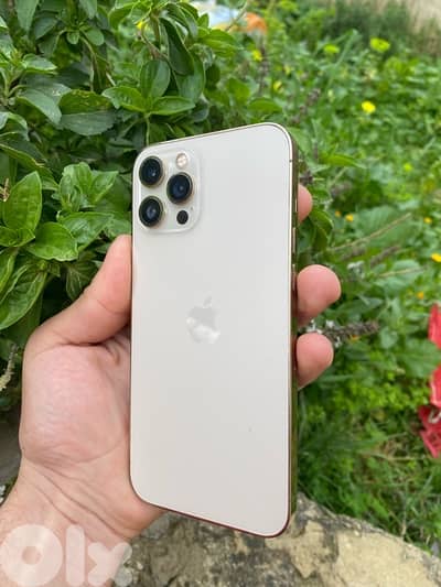 iPhone 12 pro max 256