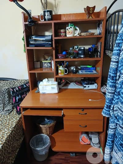 بيروت عائشة بكار