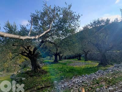 RWB152DL - Land for sale in Assia Batroun