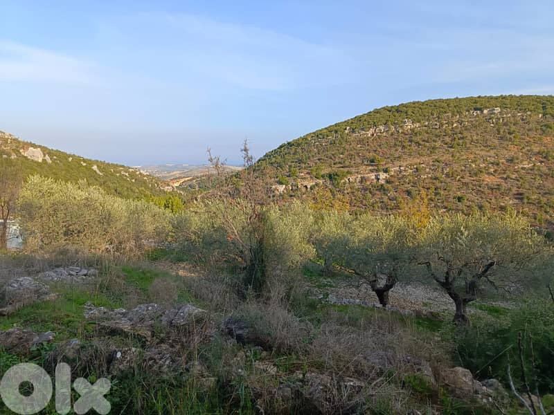 RWB152DL - Land for sale in Assia Batroun 1