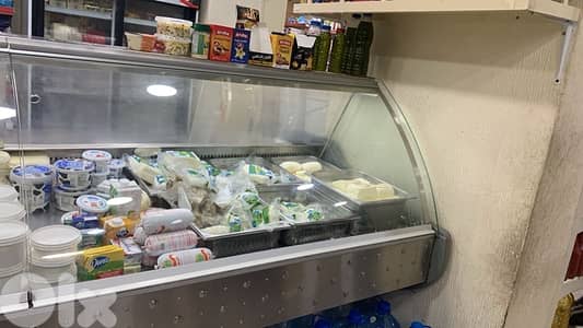 vertical cheese fridge