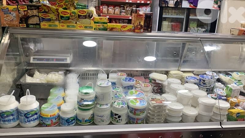 vertical cheese fridge 1