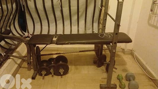 bench plates and dumbells