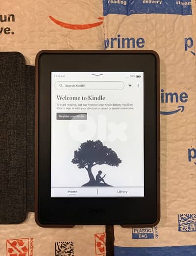 Kindle E-Book