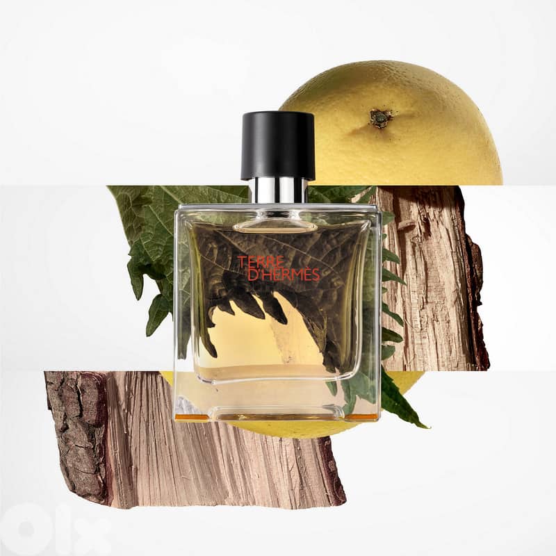 Hermès Terre d'Hermès Pure Parfum – 75 mL - Men 1