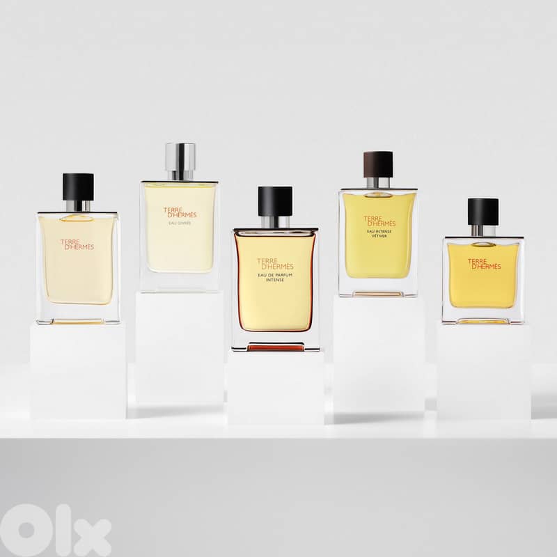 Hermès Terre d'Hermès Pure Parfum – 75 mL - Men 3