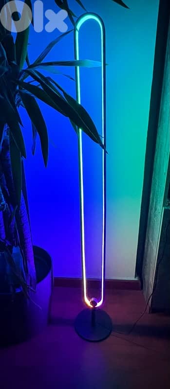 LED neon floor lamp ellipse 1