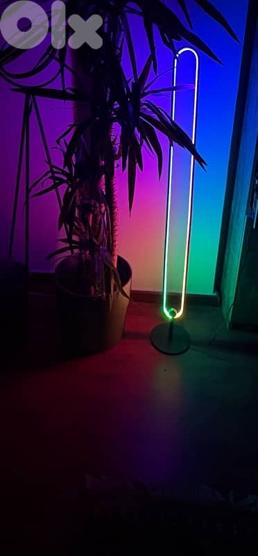 LED neon floor lamp ellipse