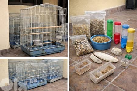 أقفاص و أغراض عصافير