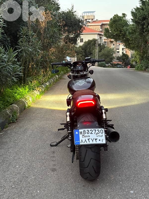 Harley-Davidson Street Rod 750cc – Excellent Condition 2