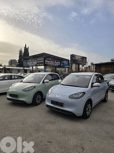 Wuling Other 2026 Bingo big battery warranty 8 years or 160,000km