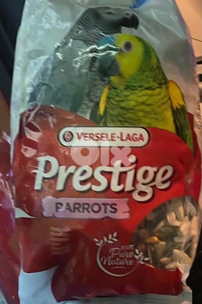 prestige parrots laga 5 piece
