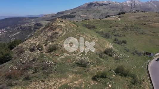 Land for Sale in Hammana.
