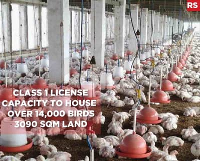 Chicken Farm in Jbeil for sale With class 1 license REF#RS120796