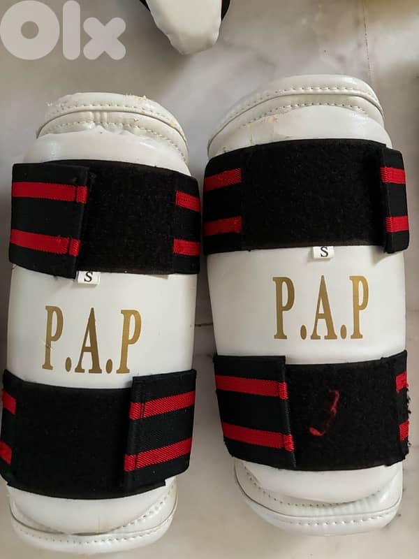 Taekwondo Gears P. A. P Brand 2