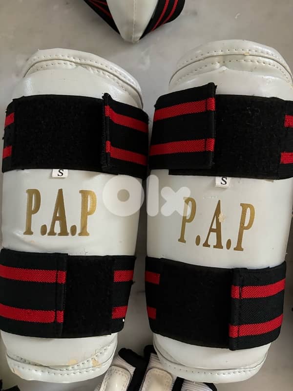 Taekwondo Gears P. A. P Brand 3