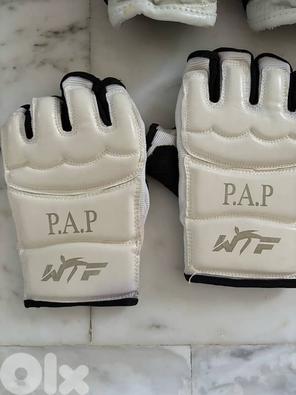 Taekwondo Gears P. A. P Brand 4