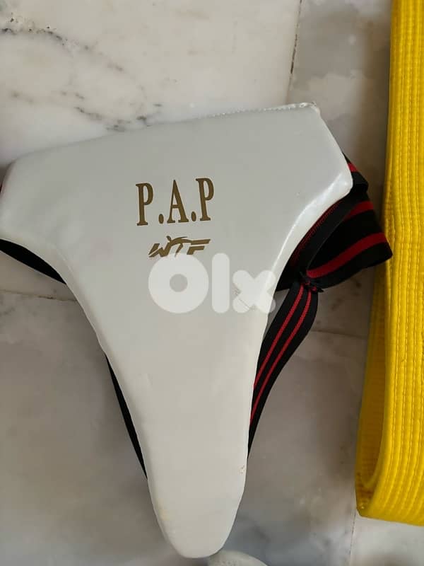 Taekwondo Gears P. A. P Brand 8