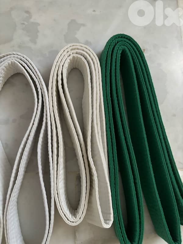 Taekwondo Gears P. A. P Brand 10