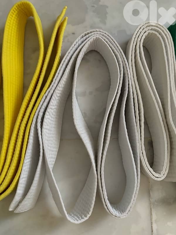 Taekwondo Gears P. A. P Brand 11