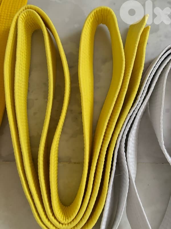 Taekwondo Gears P. A. P Brand 12