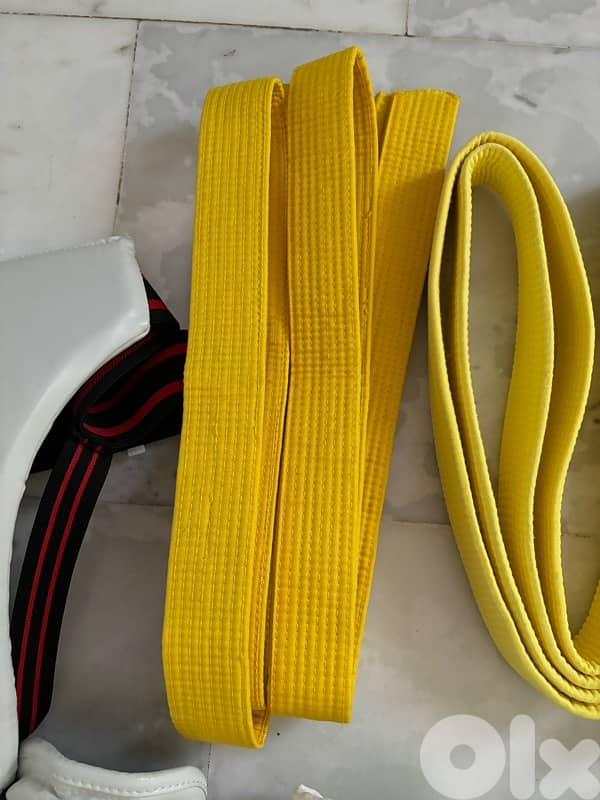 Taekwondo Gears P. A. P Brand 13