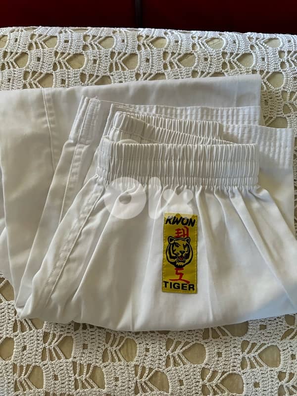 Taekwondo Gears P. A. P Brand 16