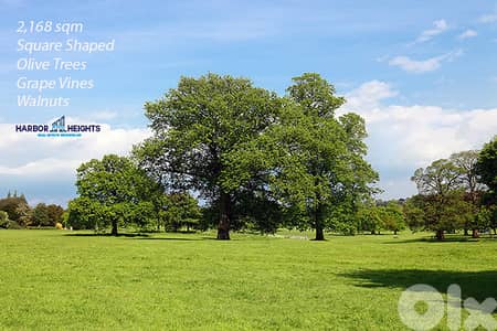 Land in kfifane, Batroun أرض في كفيفان، البترون