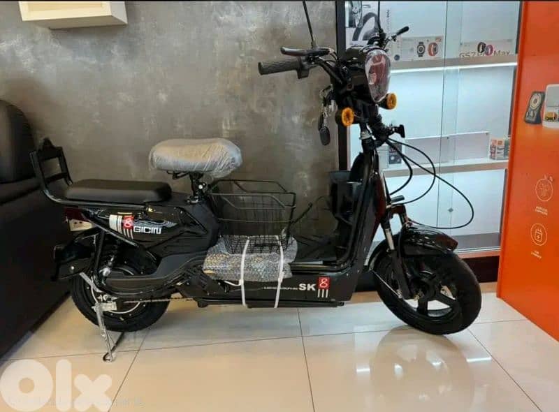 Electric bicycles lithium battery 1